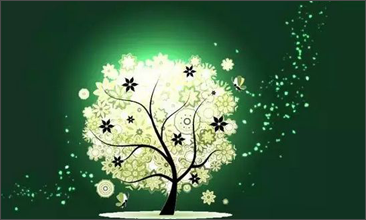  公司股权激励专项服务